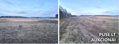 Žemės ūkio paskirties sklypas Klaipėdos rajone, Juodikių kaime, 7280 EUR pradinė kaina