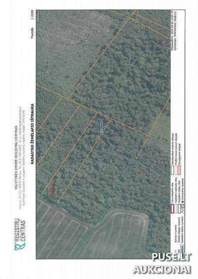 Parduodamas miško ūkio paskirties žemės sklypas Pakruojo rajone 0.97 ha už 4096 EUR