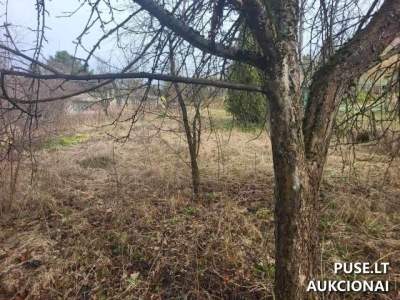 Žemės sklypas Kauno r. sav. Guogų kaime parduodamas aukcione nuo 480 EUR, 3/16 dalis
