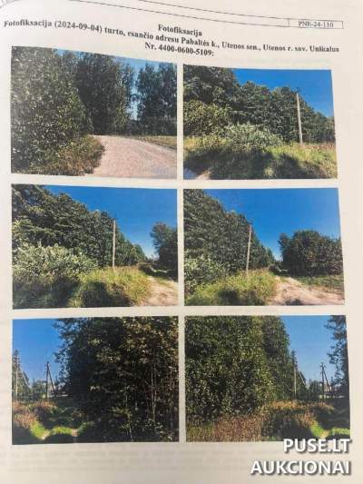 1/2 dalis 0.92 ha žemės ūkio paskirties sklypo Utenos r. Pabaltės k. aukcione nuo 1720 EUR