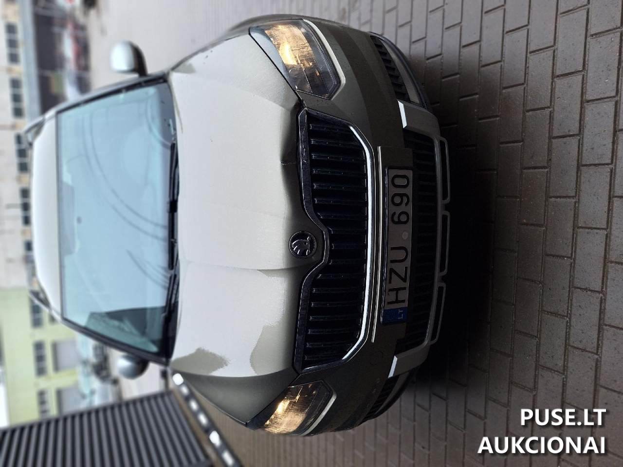 Škoda Yeti Lengvasis automobilis 2