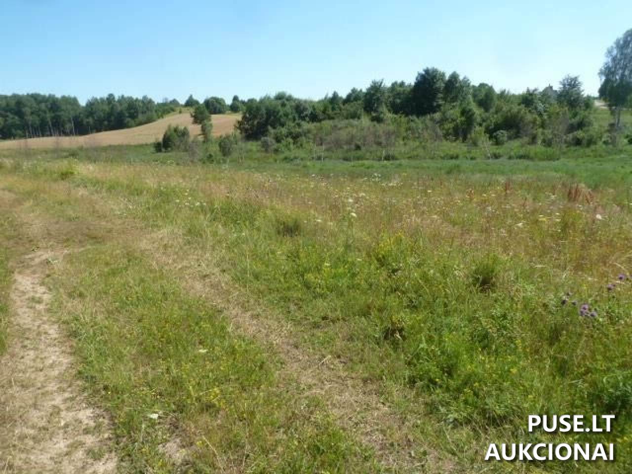 Žemės sklypas Sklypai Bražuolė, Trakų r. sav., Lithuania 7