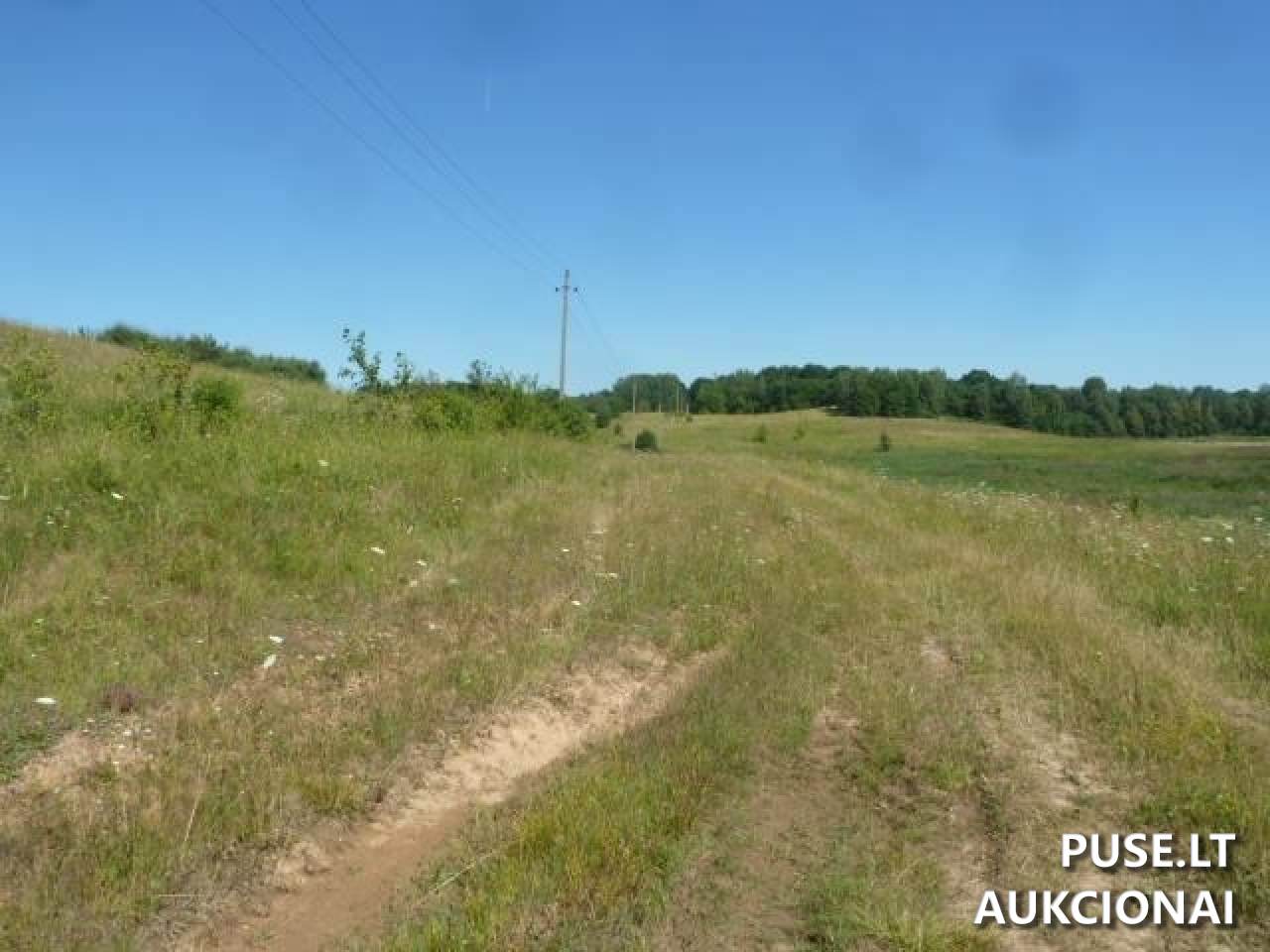 Žemės sklypas Sklypai Bražuolė, Trakų r. sav., Lithuania 9