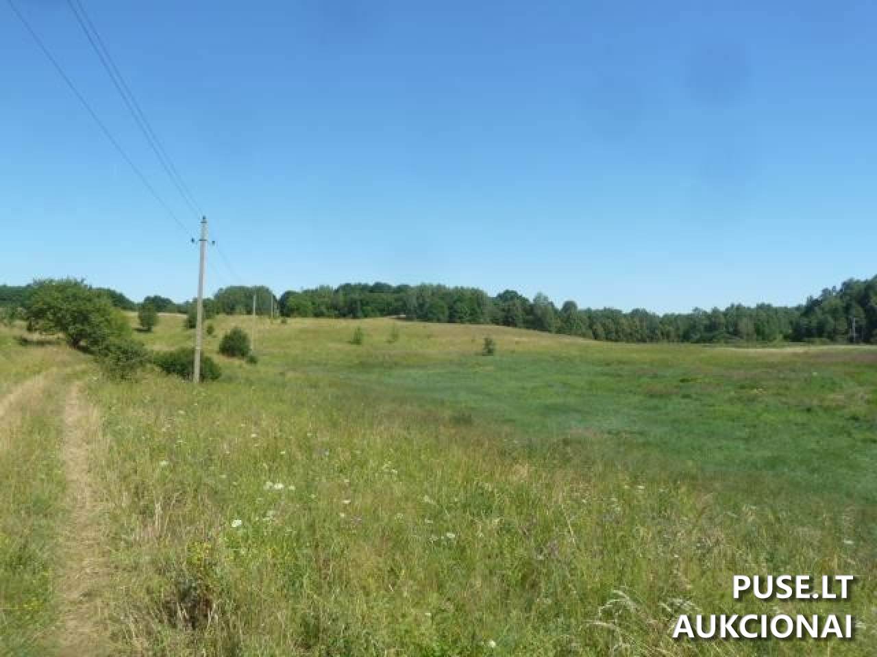 Žemės sklypas Sklypai Bražuolė, Trakų r. sav., Lithuania 10