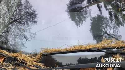 Parduodamas 2005 m. Renault Scenic 99 kW automobilis aukcione Vilniuje, pradinė kaina 250 EUR