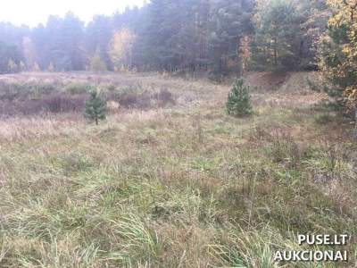 Žemės sklypas Ignalinos rajone, Ginučių k., pradinė kaina 42075 EUR - Vykstantis aukcionas