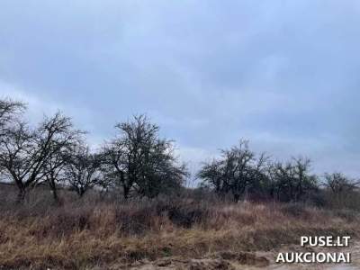 Valstybinis žemės sklypas Klaipėdoje, Užlaukio g. 35, pradinė kaina 77549 EUR