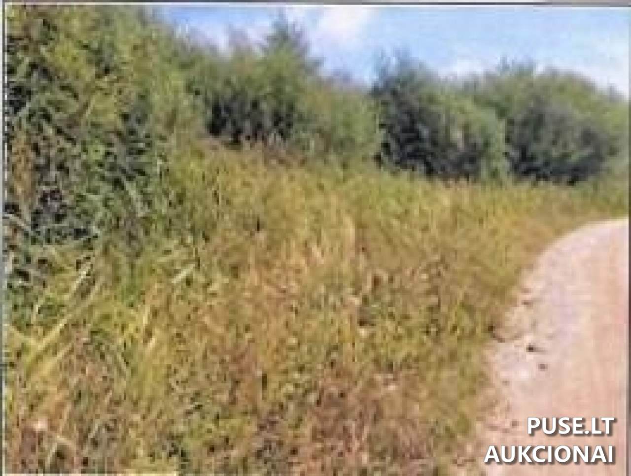 Žemės sklypas Sklypai Užlaukio g. 37, Klaipėda, 91274 Klaipėdos m. sav., Lithuania 1