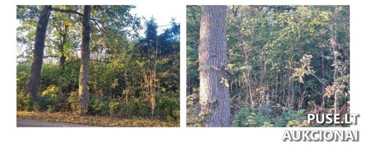 Žemės sklypas Sklypai Stačiūnų k., 39300 Stačiūnai, Lithuania 1