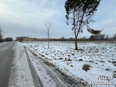 Valstybinės žemės nuomos aukcionas Šiauliuose, Dubijos g. 20J, pradinė kaina 2156 EUR