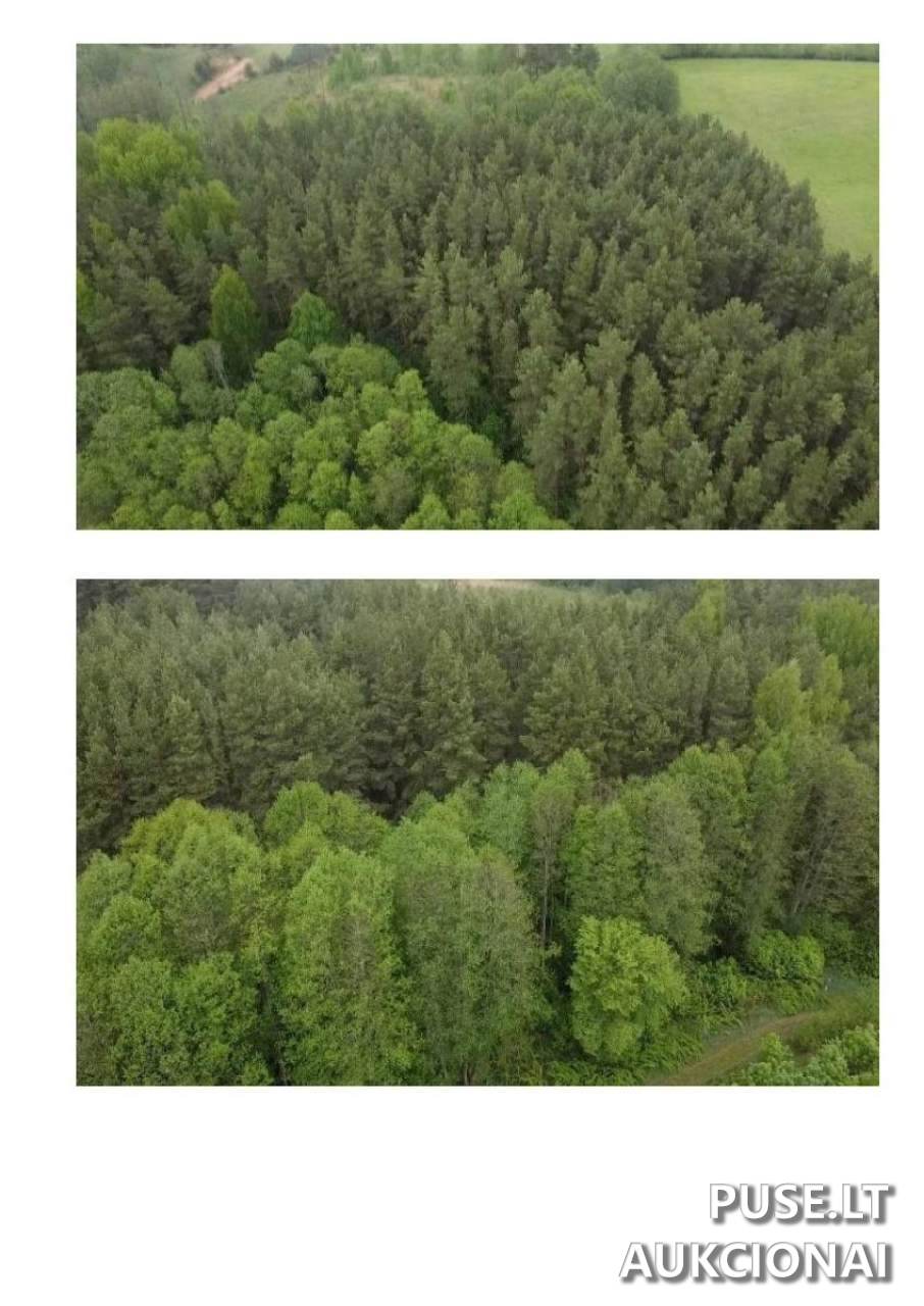 Žemės sklypas Sklypai 30177 Krikonys I, Lithuania 3