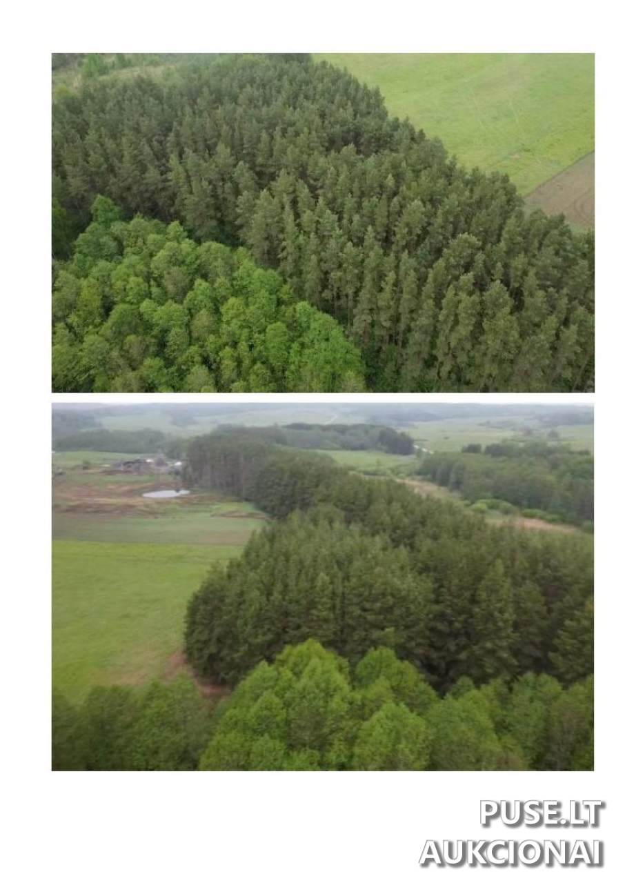 Žemės sklypas Sklypai 30177 Krikonys I, Lithuania 4