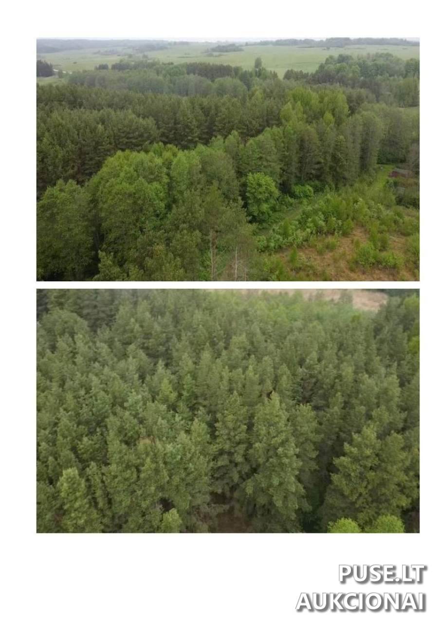Žemės sklypas Sklypai 30177 Krikonys I, Lithuania 5