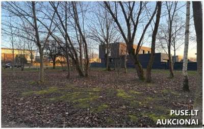 Valstybinis žemės sklypas Klaipėdoje, Ievų g. 2A, pradinė kaina 87845 EUR