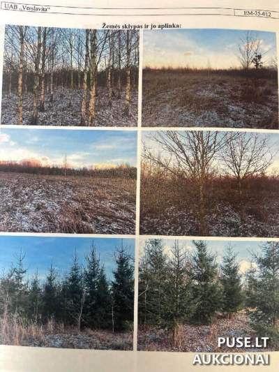 Didelis žemės ūkio sklypas Vilniaus rajone, Kiemelių kaime, 5.75 ha, pradinė kaina 14520 EUR