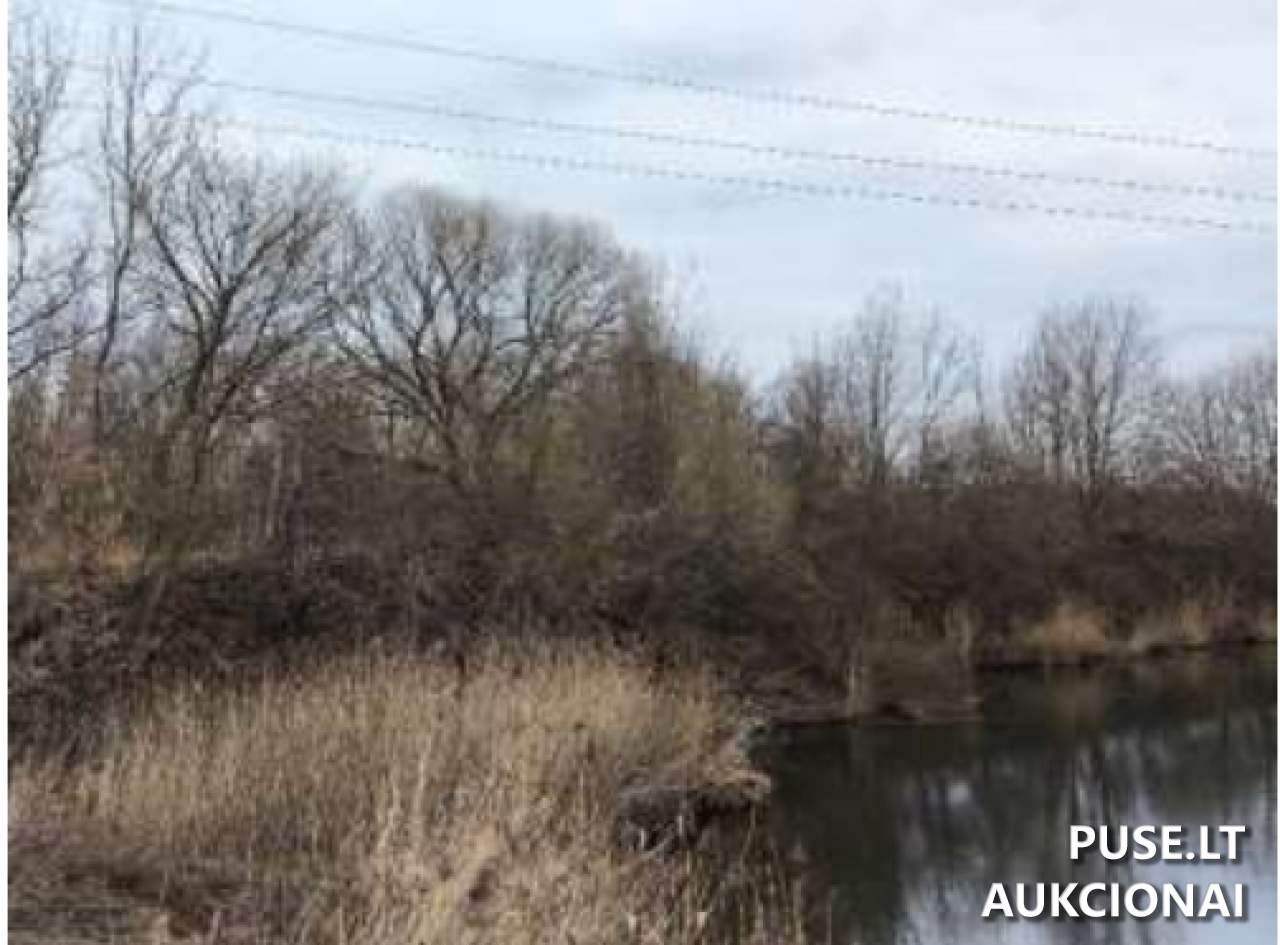 Žemės sklypas Sklypai Šešupės g. 54D, 68461 Mokolai, Lithuania 5