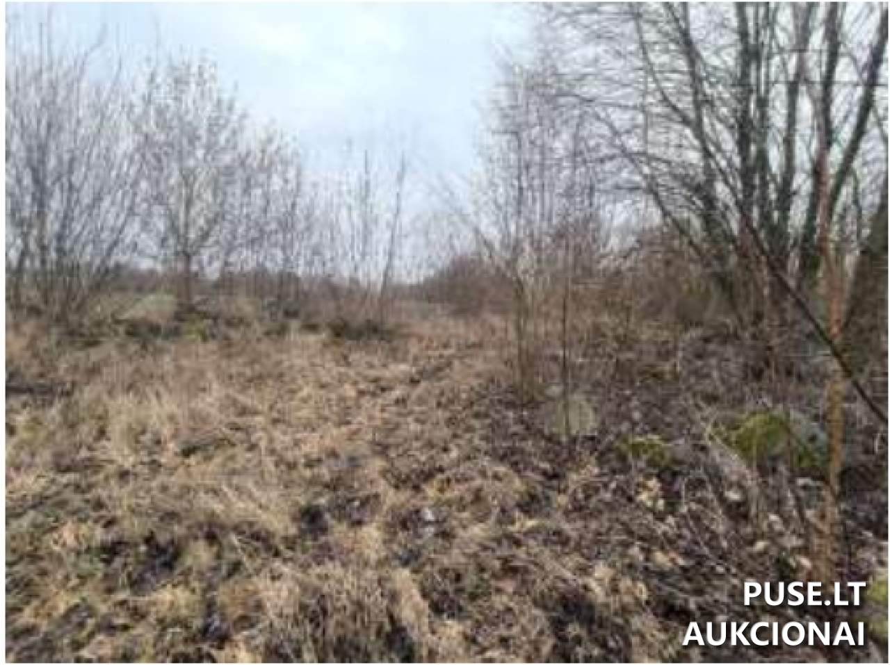Žemės sklypas Sklypai Šešupės g. 54D, 68461 Mokolai, Lithuania 12