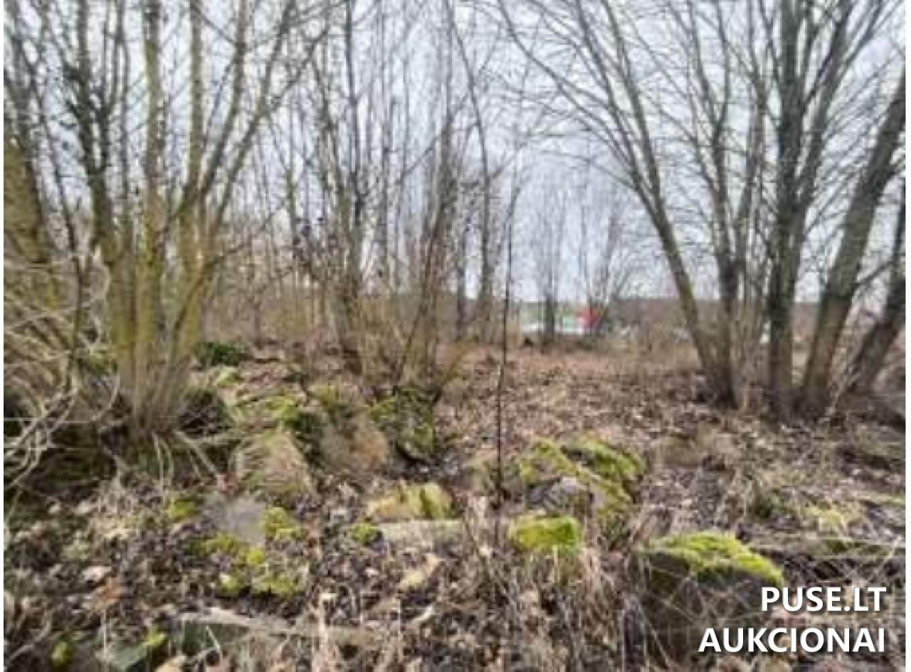 Žemės sklypas Sklypai Šešupės g. 54D, 68461 Mokolai, Lithuania 13