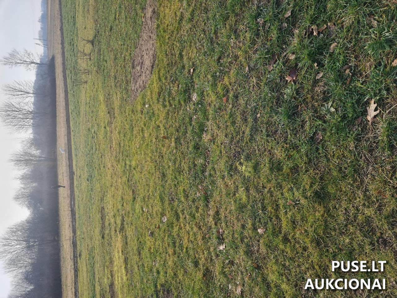 Žemės sklypas Sklypai Kriaunos, Rokiškis District Municipality, Lithuania 4