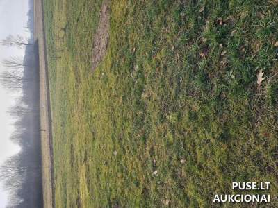 Valstybinis žemės sklypas Rokiškio r. sav., Kriaunų k., Sartų g. 14D, pradinė kaina 1456 EUR