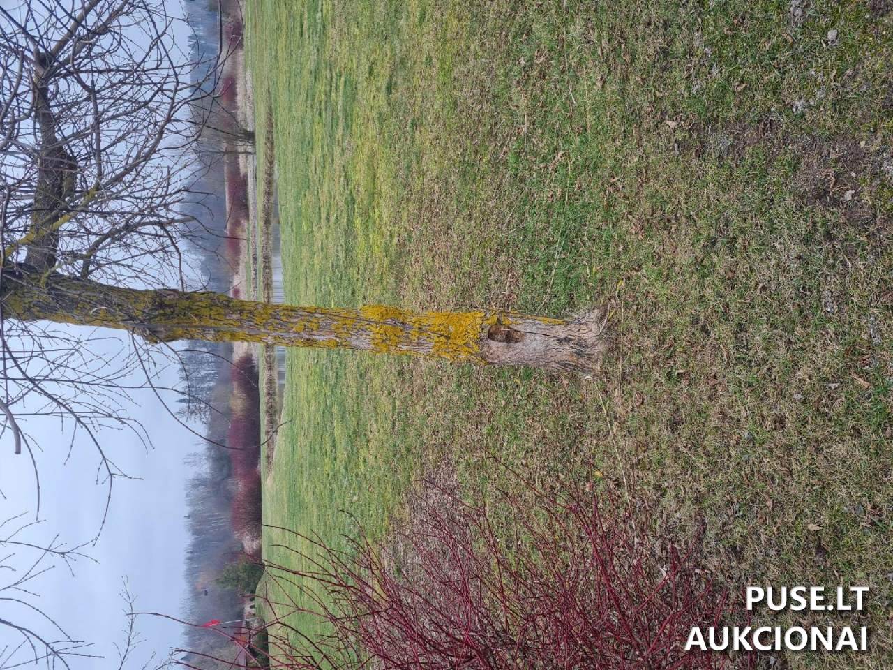 Žemės sklypas Sklypai Rokiškis District Municipality, Lithuania 2