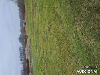 Valstybinis žemės sklypas Rokiškio r. sav., Kraštų k. 3A parduodamas aukcione nuo 1979 EUR