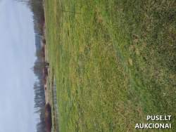 Sklypai - Žemės sklypas