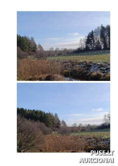 Žemės ūkio paskirties sklypas Švenčionių r. Busilų k. 1.87 ha už 4640 EUR - Antstolių aukcionas