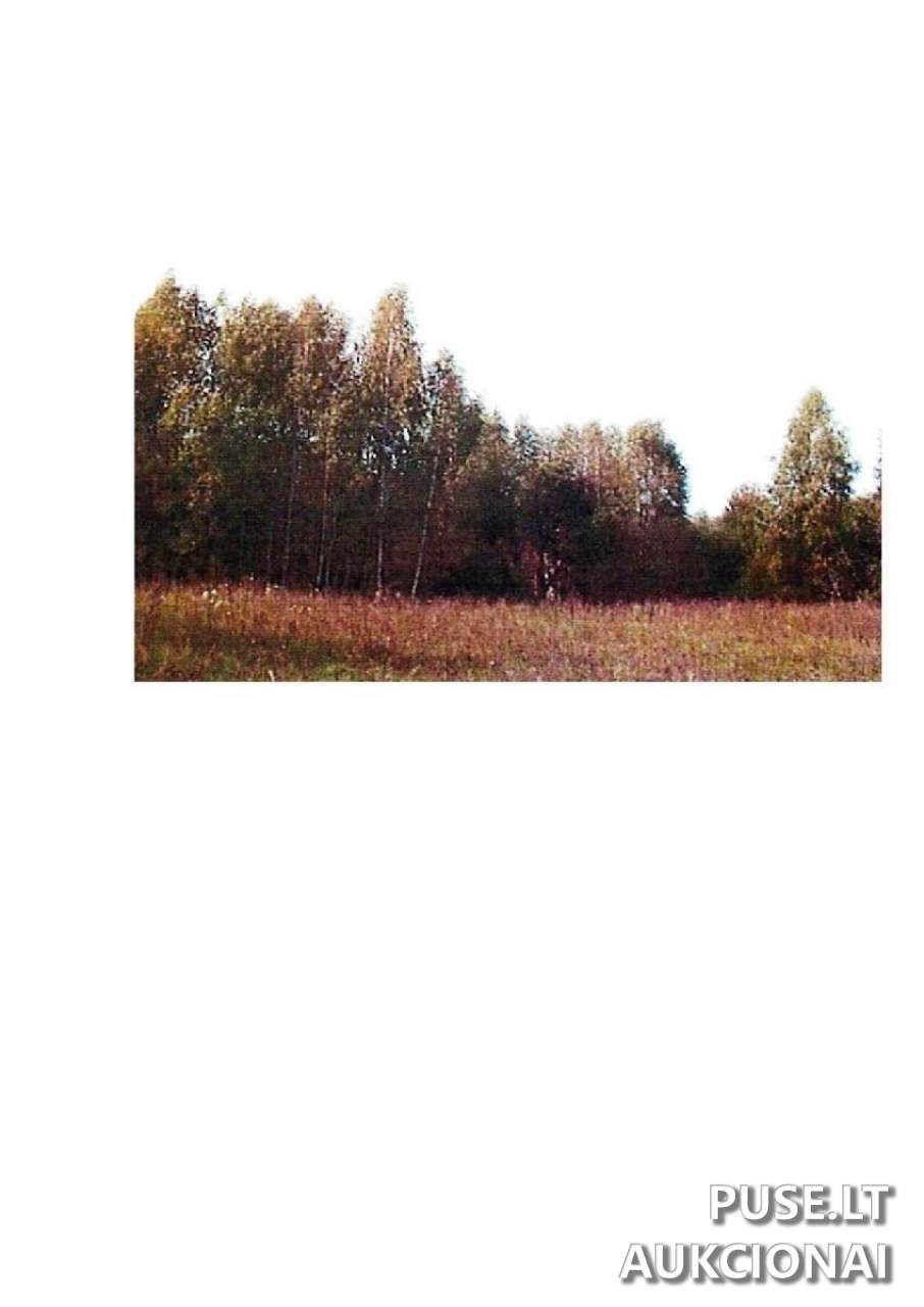 Žemės sklypas Sklypai Prienai District Municipality, Lithuania 1