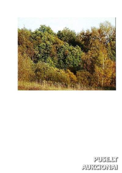 Žemės ūkio paskirties sklypas Prienų r. sav., Giriotiškių k., pradinė kaina 10920 EUR