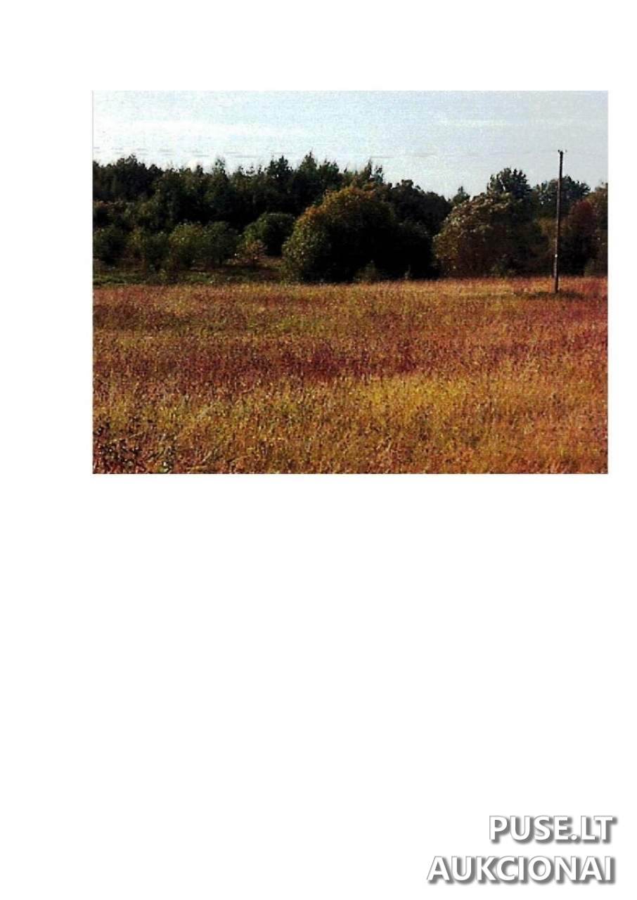 Žemės sklypas Sklypai Intuponys, 59366 Prienai District Municipality, Lithuania 3