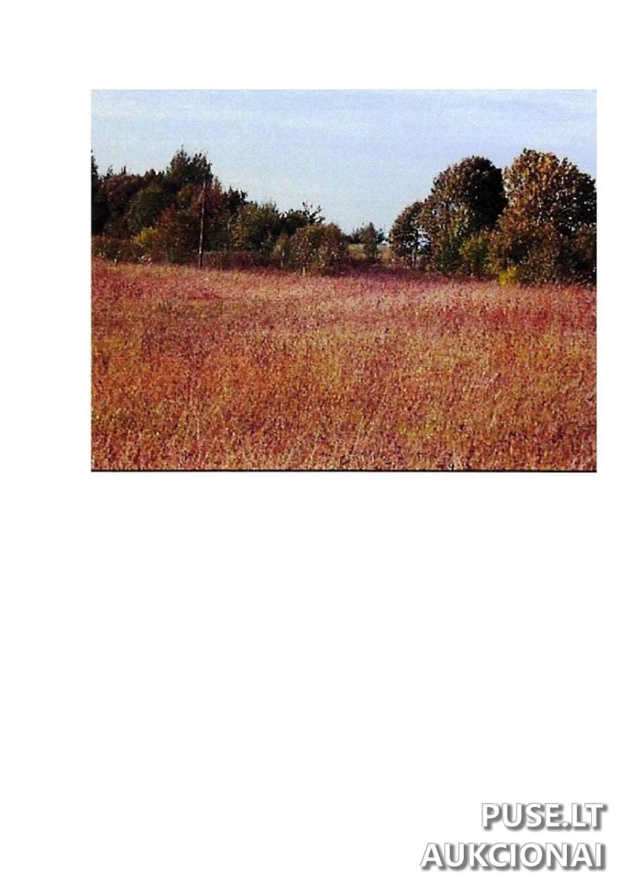 Žemės sklypas Sklypai Intuponys, 59366 Prienai District Municipality, Lithuania 5
