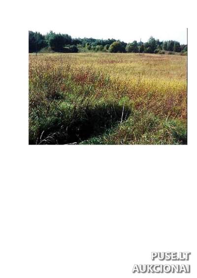 Žemės ūkio paskirties sklypas Prienų rajone, Intuponių kaime, 3660 EUR pradinė kaina