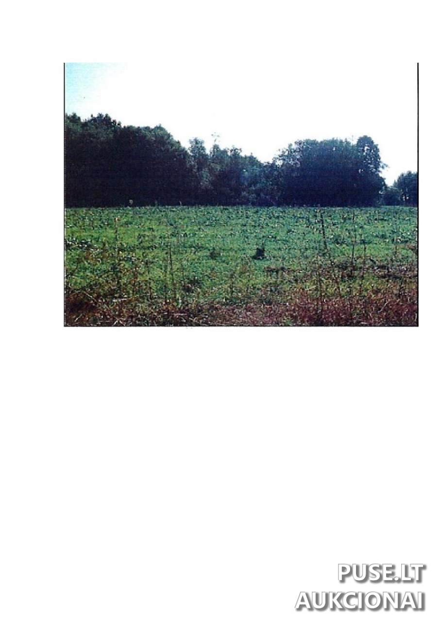 Žemės sklypas Sklypai Prienai District Municipality, Lithuania 4