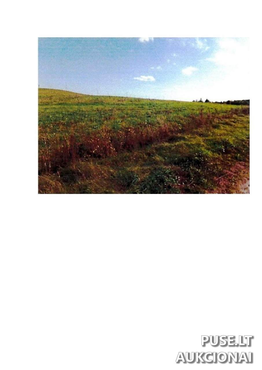 Žemės sklypas Sklypai Prienai District Municipality, Lithuania 1