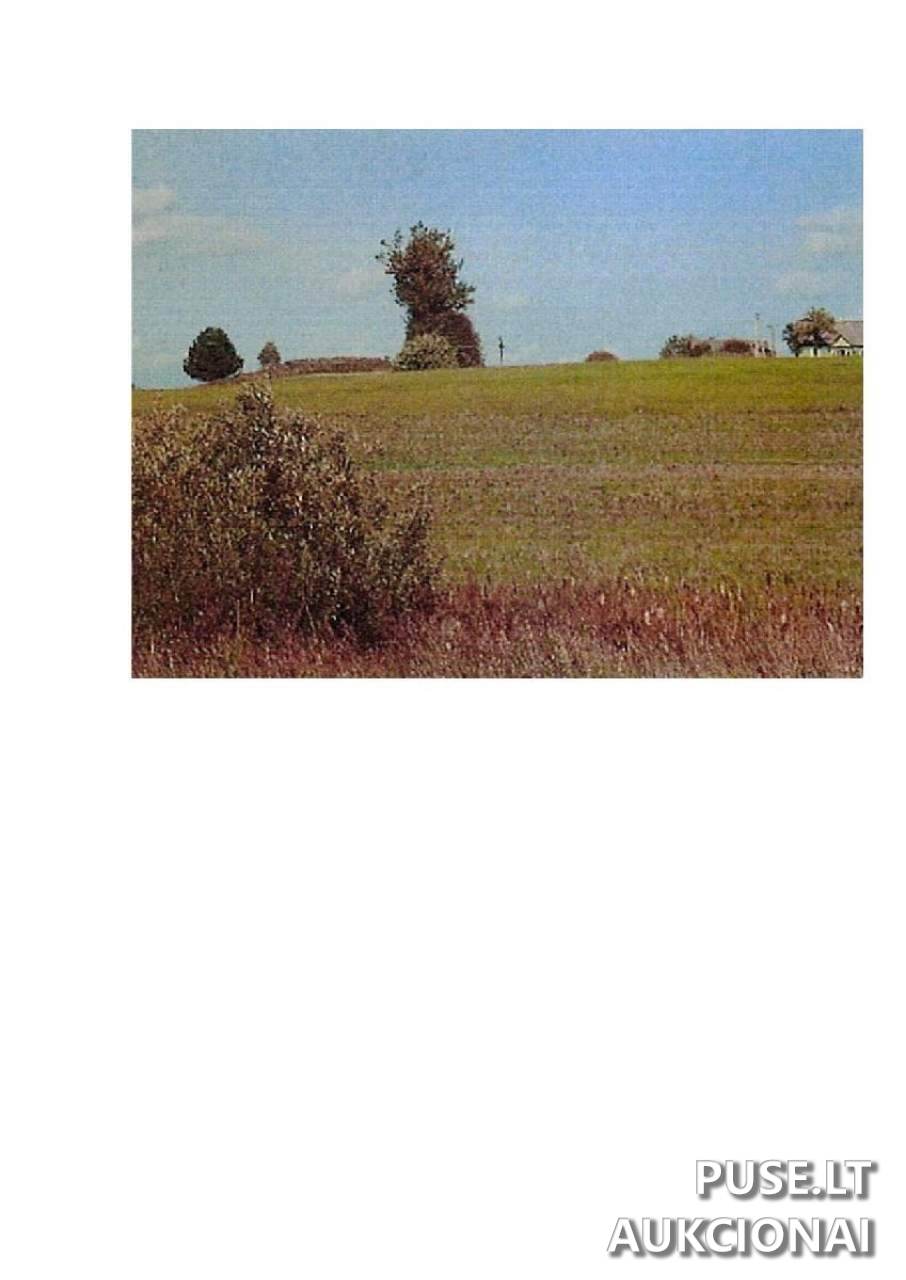 Žemės sklypas Sklypai Prienai District Municipality, Lithuania 3