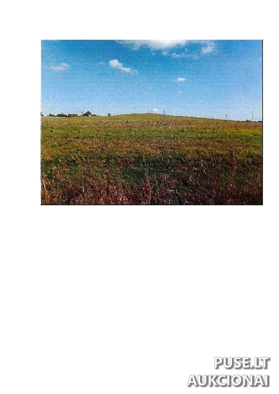 Žemės sklypas Sklypai Prienai District Municipality, Lithuania 5