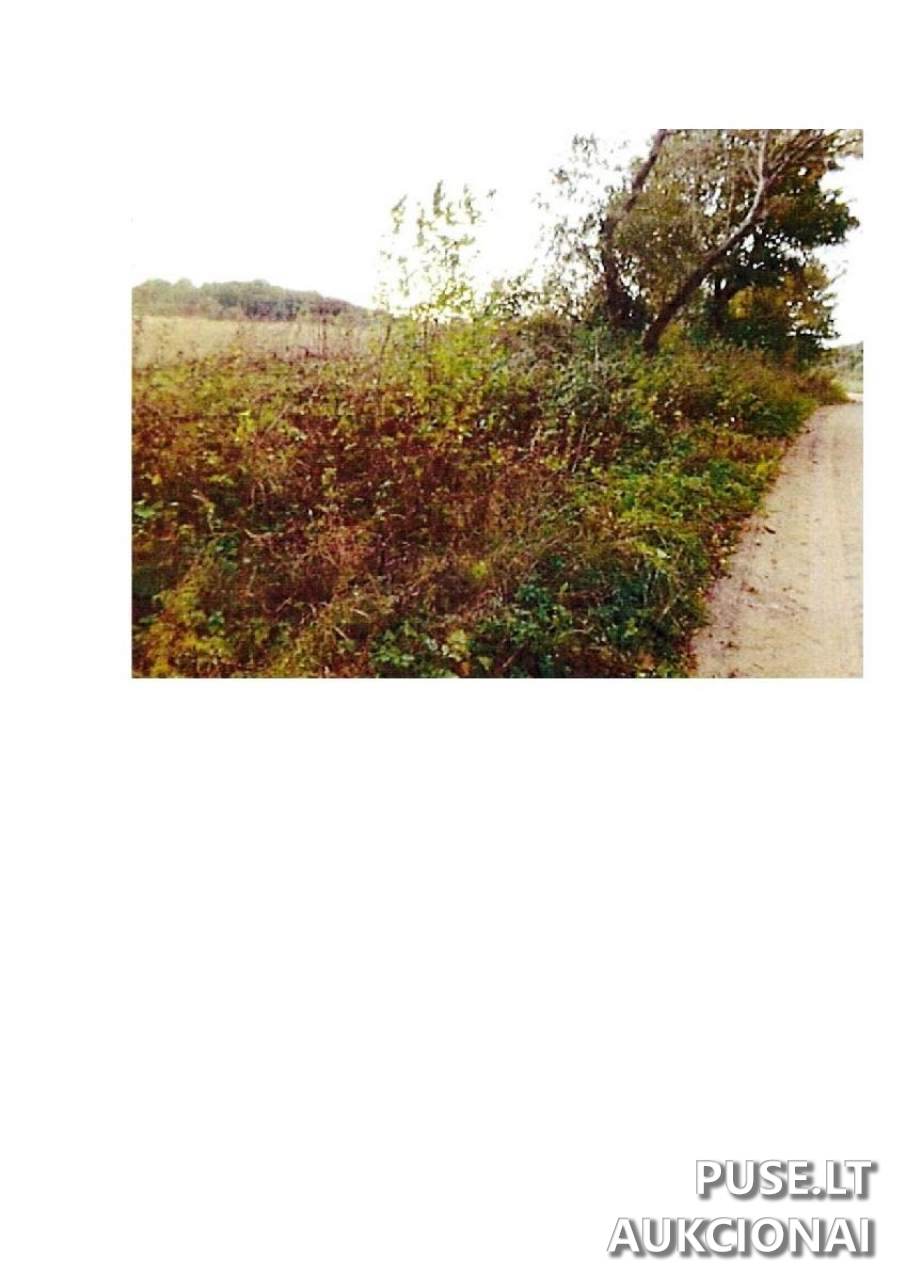 Žemės sklypas Sklypai Prienai District Municipality, Lithuania 1