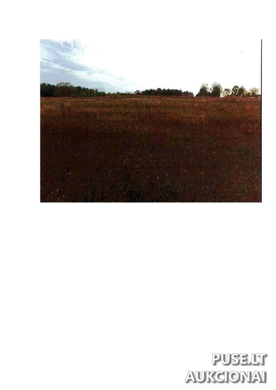 Žemės sklypas Sklypai Prienai District Municipality, Lithuania 2