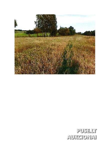 Žemės sklypas Prienų rajone, Rodomislės kaime, parduodamas aukcione nuo 12660 EUR