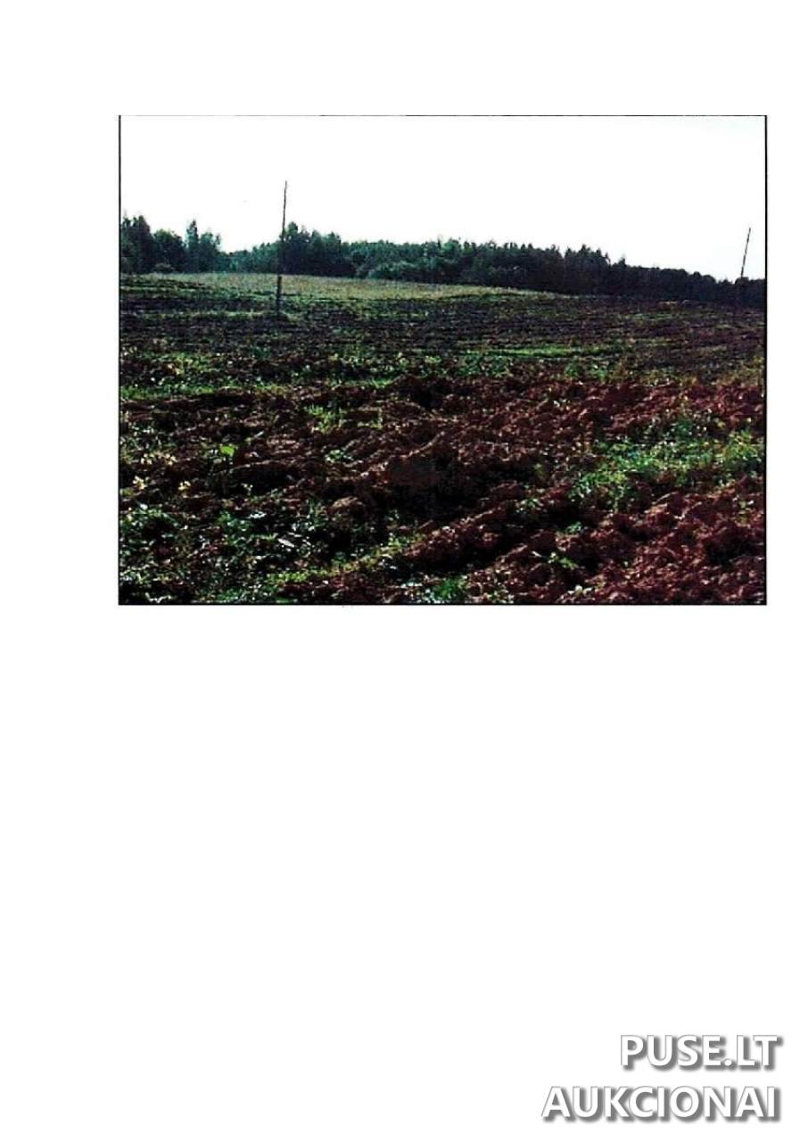 Žemės sklypas Sklypai Intuponys, 59366 Prienai District Municipality, Lithuania 4