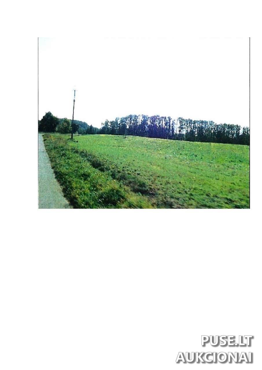 Žemės sklypas Sklypai Guostaus g. 20, Stakliškės, 59369 Prienų r. sav., Lithuania 1