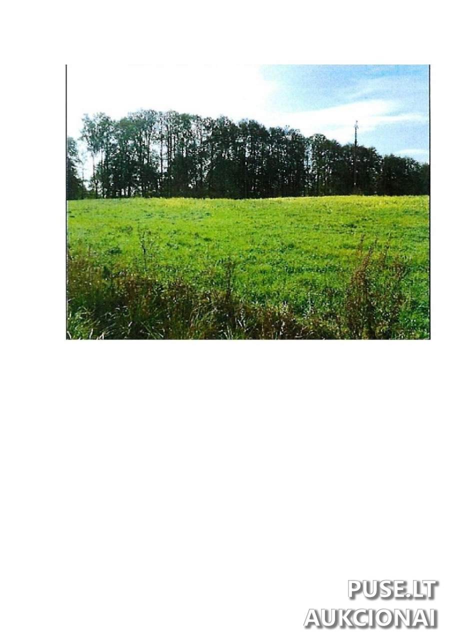 Žemės sklypas Sklypai Guostaus g. 20, Stakliškės, 59369 Prienų r. sav., Lithuania 5