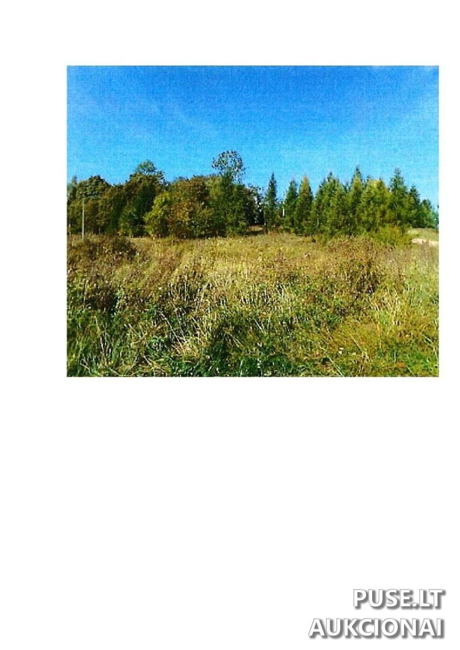 Žemės sklypas Sklypai Guostaus g. 20, Stakliškės, 59369 Prienų r. sav., Lithuania 6