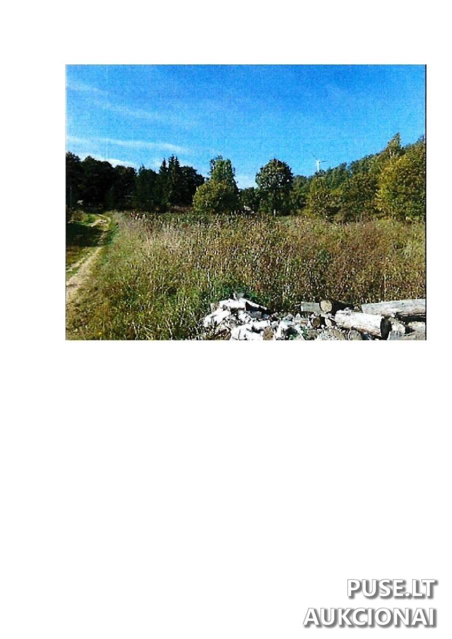 Žemės sklypas Sklypai Guostaus g. 20, Stakliškės, 59369 Prienų r. sav., Lithuania 7