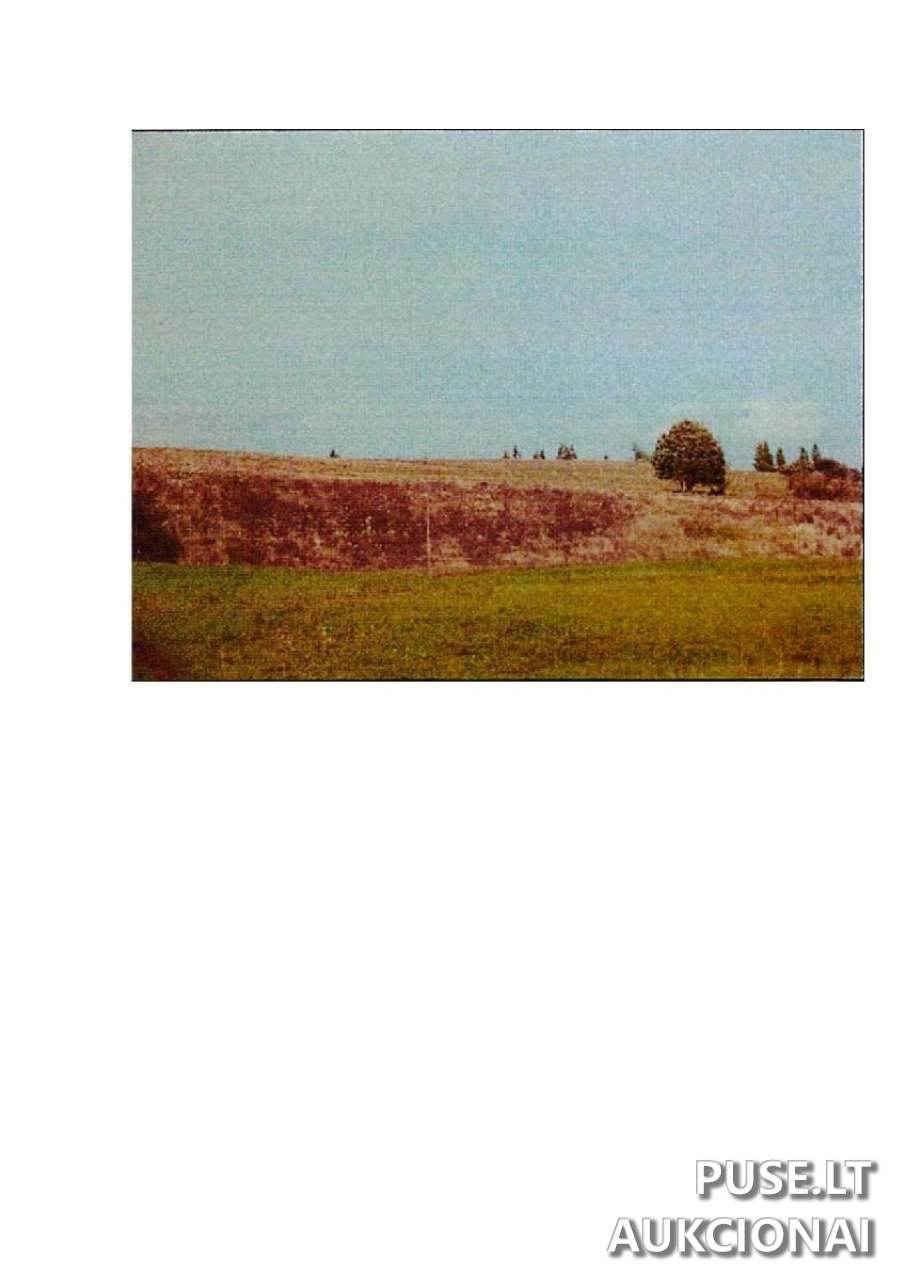 Žemės sklypas Sklypai Prienai District Municipality, Lithuania 1