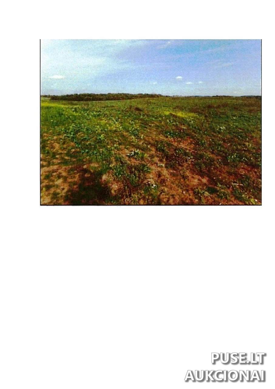 Žemės sklypas Sklypai Prienai District Municipality, Lithuania 2