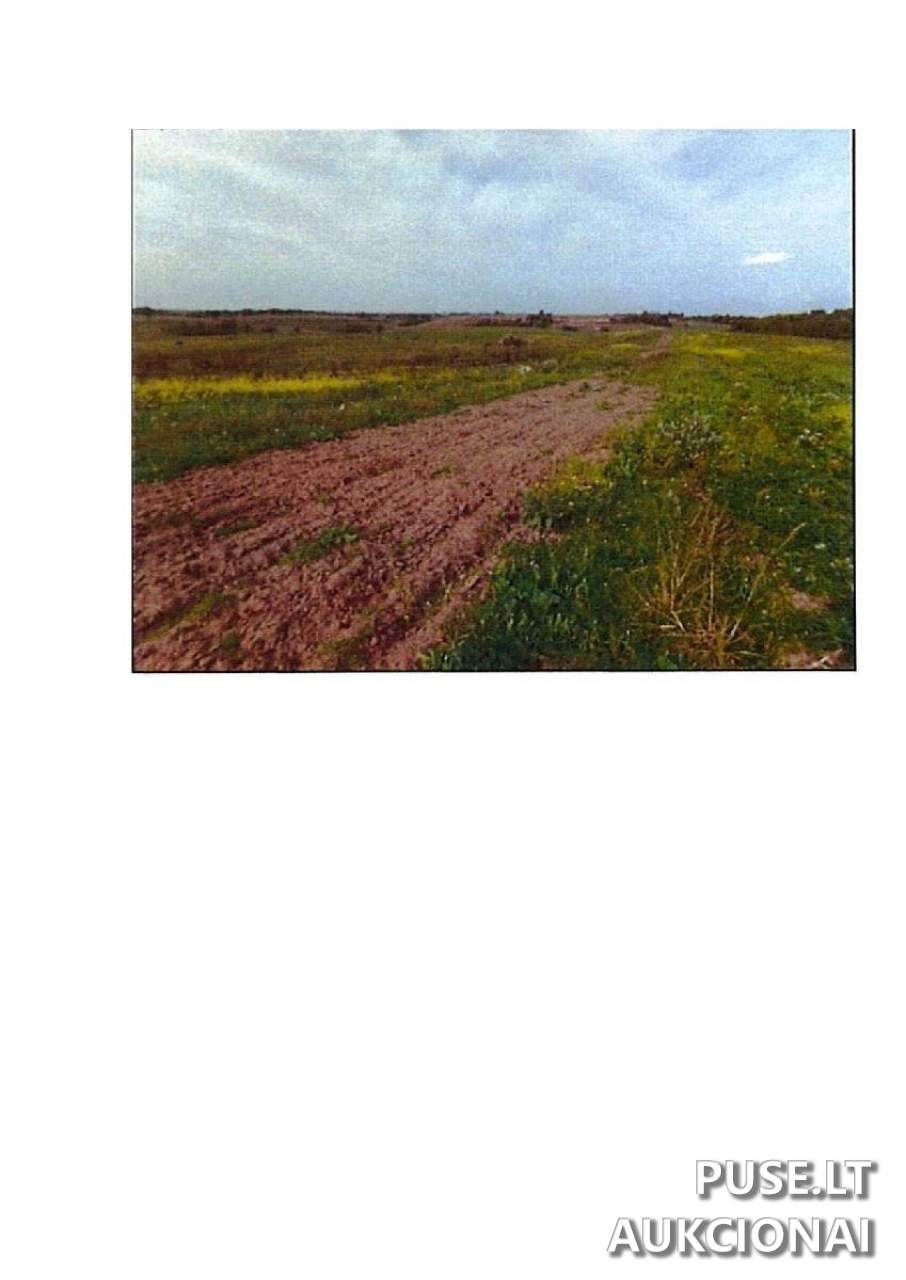 Žemės sklypas Sklypai Prienai District Municipality, Lithuania 5