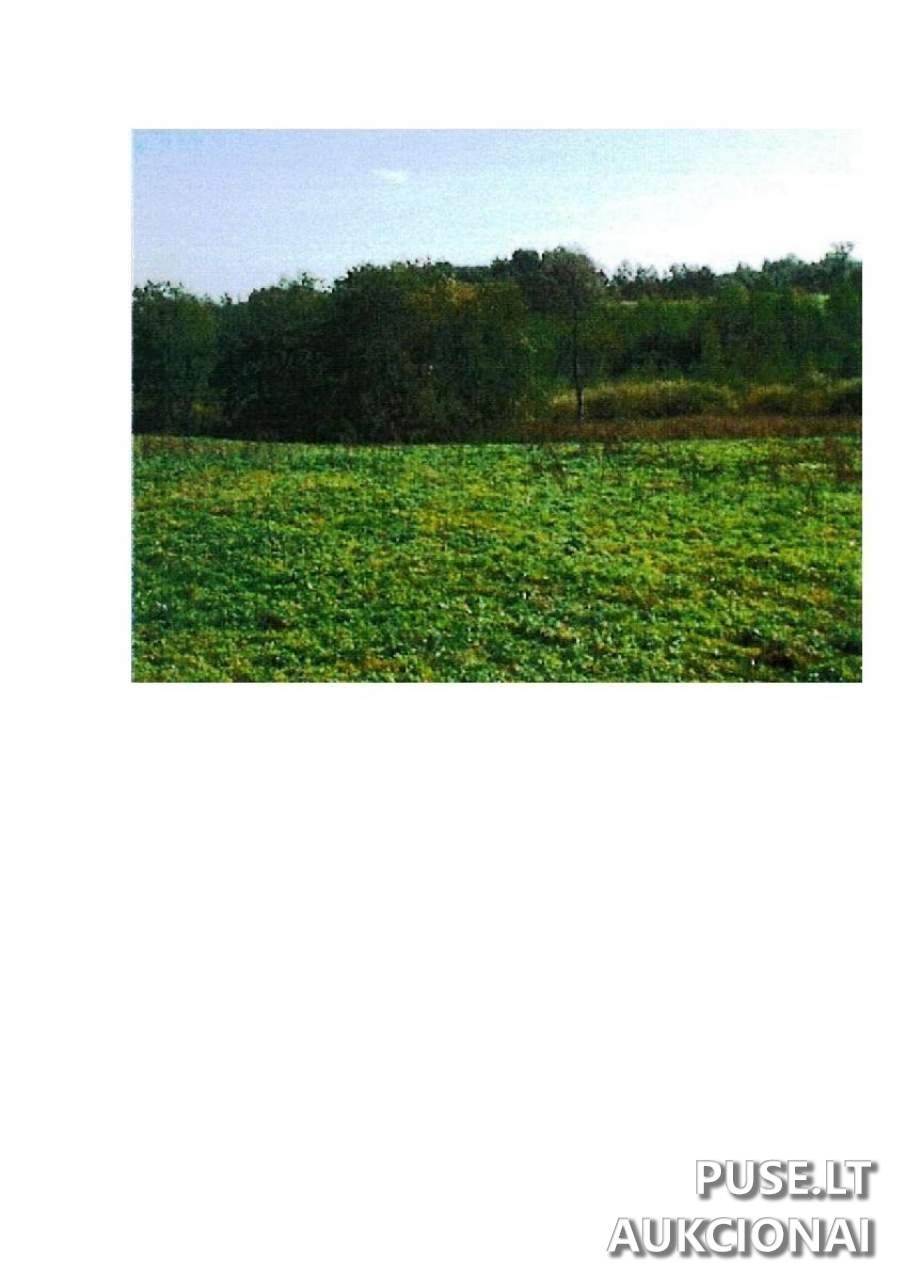 Žemės sklypas Sklypai Guostaus g. 22, 59367, Lithuania 5