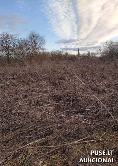 Žemės sklypas Pasvalio r. sav., Kalno k., 3285 EUR pradinė kaina
